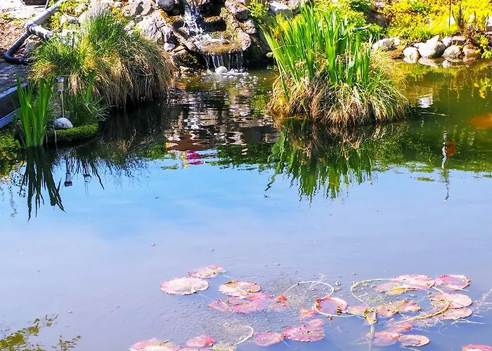 Daire Pasch-wittke Geldern